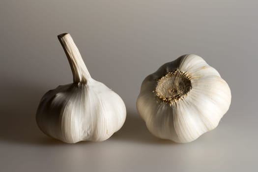 Pair of Garlic Bulbs close up.