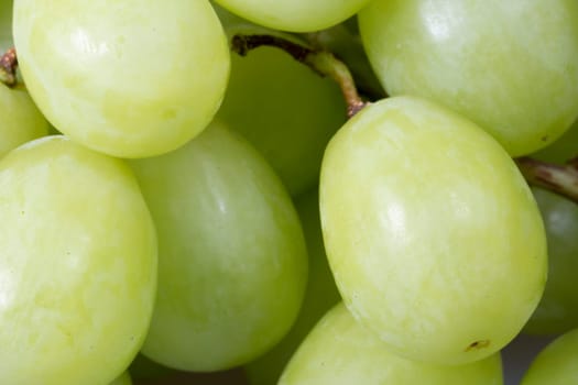 Green Grapes Close Up