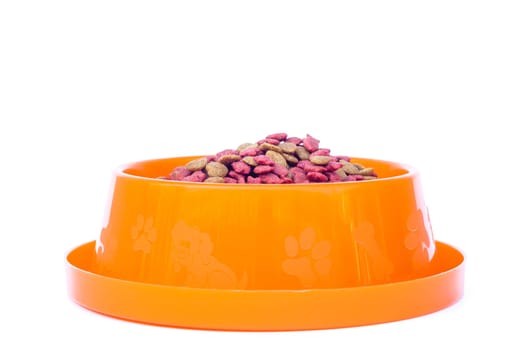 Dry cat food in orange bowl isolated on white background, stock photo