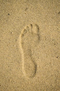 One footprint in the sand