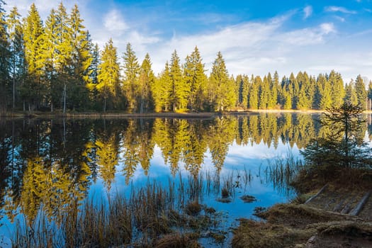 Etang de la Gruére