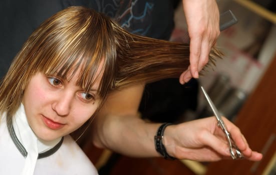 Cutting hair at the hair salon