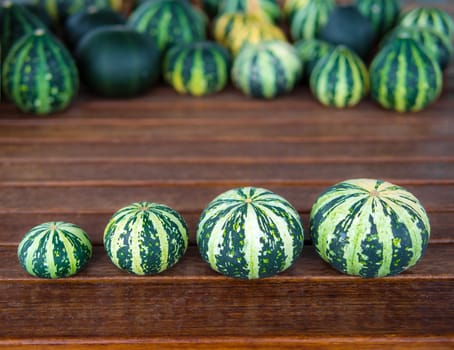 Still life with variety of green and yellow pumpkins cucurbita pepo spread on wooden table viewed from top, useable as seasonal autumn harvest Halloween housing decoration illustration