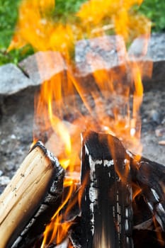 camp fire with wood