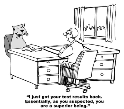 Cat cartoon.  As suspected, the cat is brilliant.