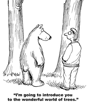 Nature cartoon.  The bear is introducing the human to the world of trees.