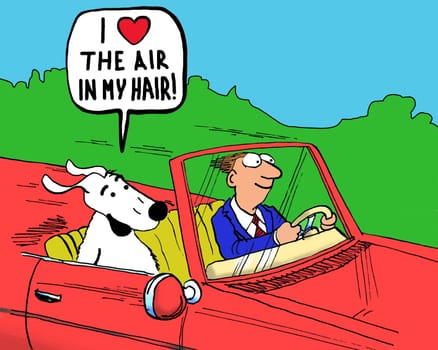 Dog cartoon.  The dog is riding in a fast convertible car and loves the feeling of the air through his fur.