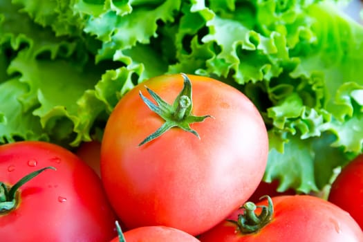 Photo of still life with fresh vegetables