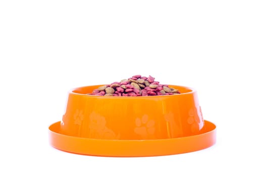 Dry cat food in orange bowl isolated on white background, stock photo