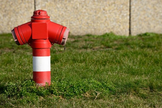 Red fireplug in a garden and grass.