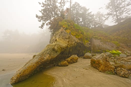 Fog and Mist on a Rocky Coastline near Cape Arago on the Oregon Coastline