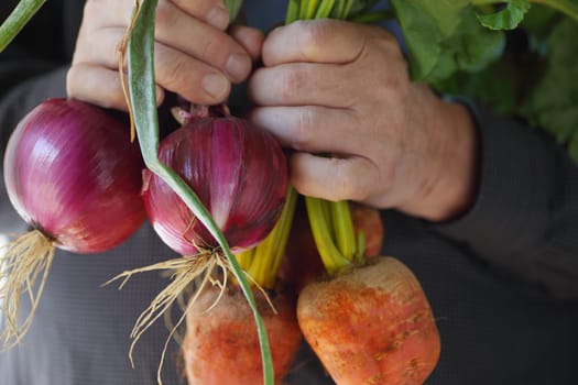 A man holds fresh bunches of beets and onions from the farmers market.