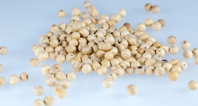 White Peppercorns Close Up