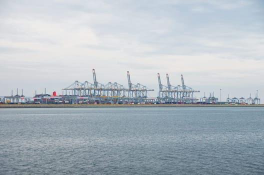 row of large harbor cranes in the rotterdam harbor