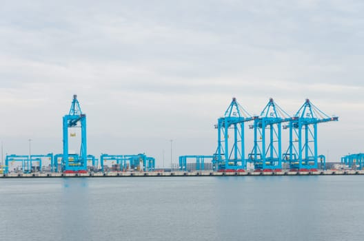 row of large harbor cranes in the rotterdam harbor