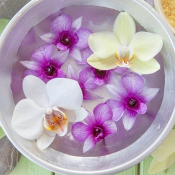 Fresh colorful orchids swimming in Schuessel with water