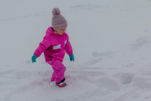 Sledging