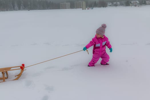 Sledging