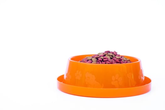 Dry cat food in orange bowl isolated on white background, stock photo