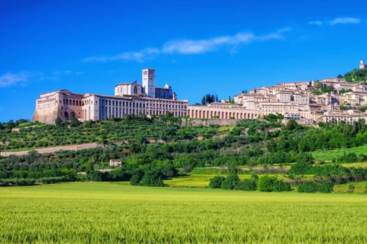 Assisi 26