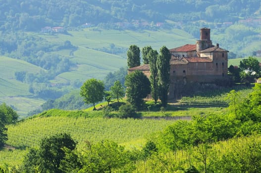 Barolo Castello di La Volta 13