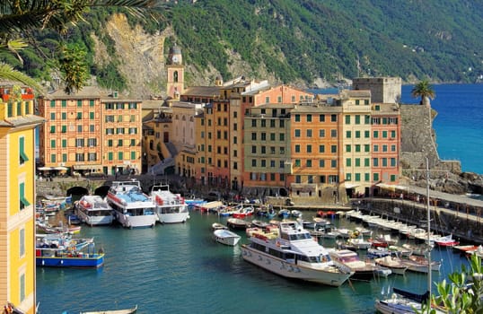 Camogli Harbour - Camogli harbour 01