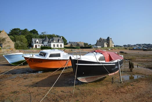 Low tide