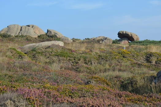 The old customs man's trail in Brittany