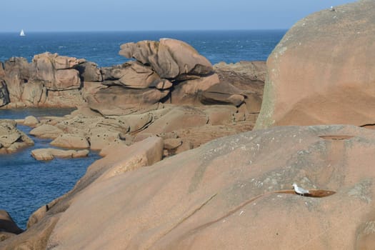 Atlantic coast in Brittany
