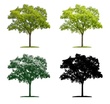 Tree in four different illustration techniques - cord tree
