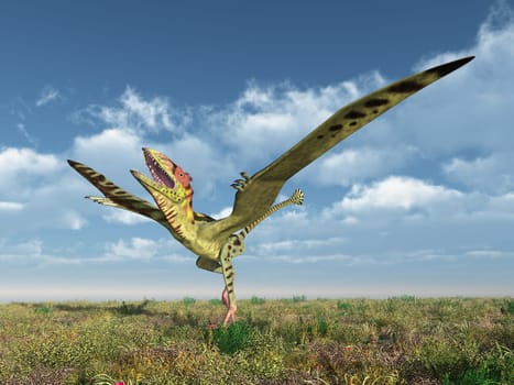 Computer-generated 3D illustration with the flying dinosaur Peteinosaurus