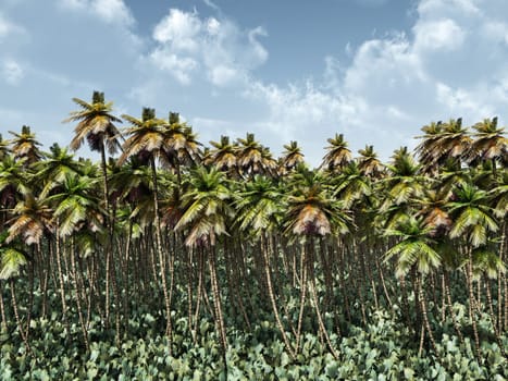 Computer-generated 3D illustration with a palm forest