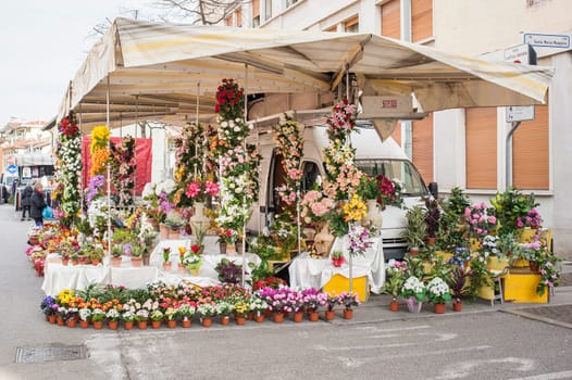 Codroipo,Udine,Italy  - 19 January 2015