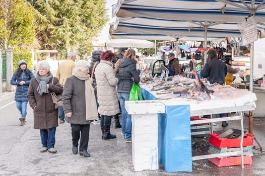Codroipo,Udine,Italy  - 19 January 2015