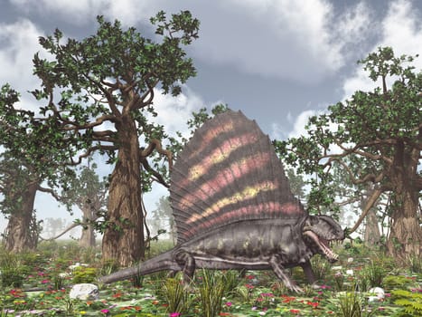 Computer-generated 3D illustration with the Pelycosaur Dimetrodon