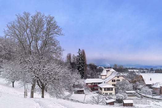Snow on the Bruderholz