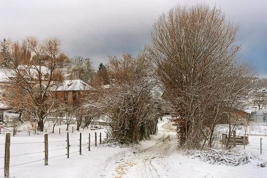 Walk on the Bruderholz