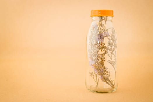 Beautiful violet dried flower in the bottle, stock photo