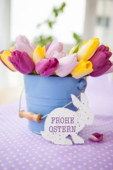 Fresh colorful tulips on purple background