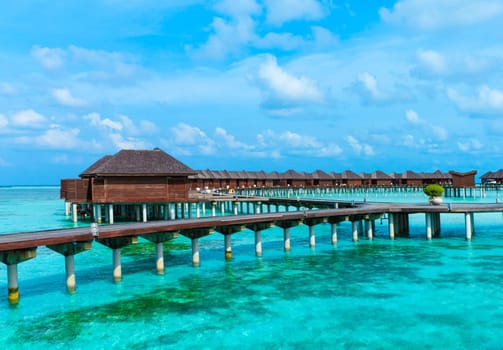tropical beach in Maldives with few palm trees and blue lagoon
