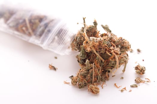 Cannabis marijuana flowers in small bag of drugs close-up