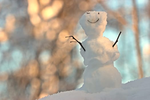 Friendly little snowman