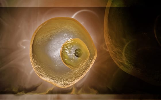 Digital illustration of ovum cell in colour background