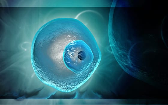 Digital illustration of ovum cell in colour background