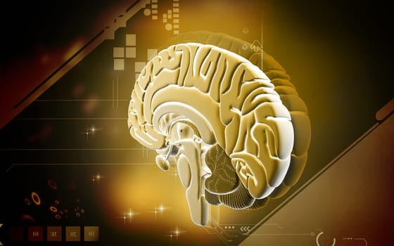Digital illustration of brain in colour background