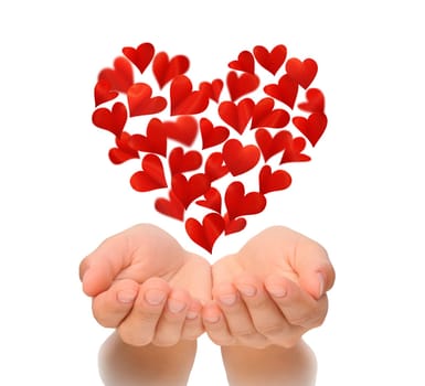 Hearts in heart shape flying over cupped hands of young woman, Valentine's Day, Happy Valentines day, love concept, isolated on white background, birthday card, health insurance concept, hearts are made from flower petals
