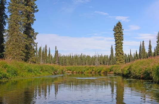 Moose River heading through the Marshland in the Kenai National Wildlife Refuge in Alaska
