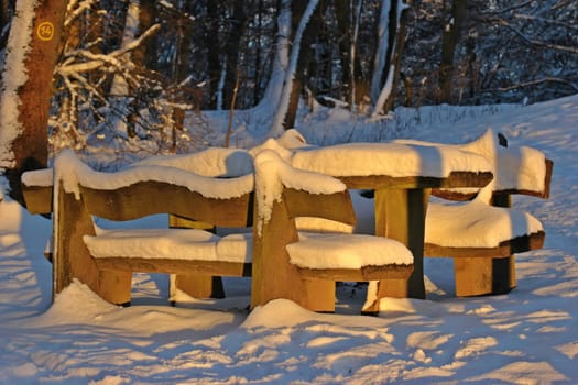 Snowy wooden benches in winter