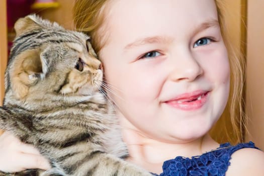 Image of beautiful girl with grey kitty