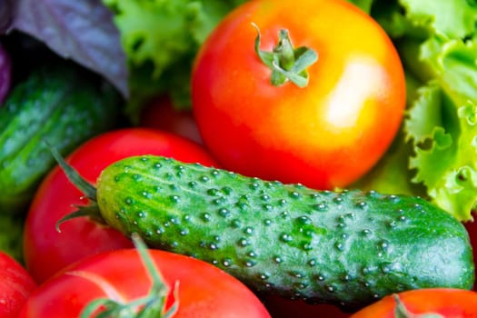 Photo of still life with fresh vegetables